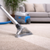 Professional carpet cleaning in action Carpet Cleaning (25 sq.ft)