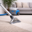 Professional carpet cleaning in action